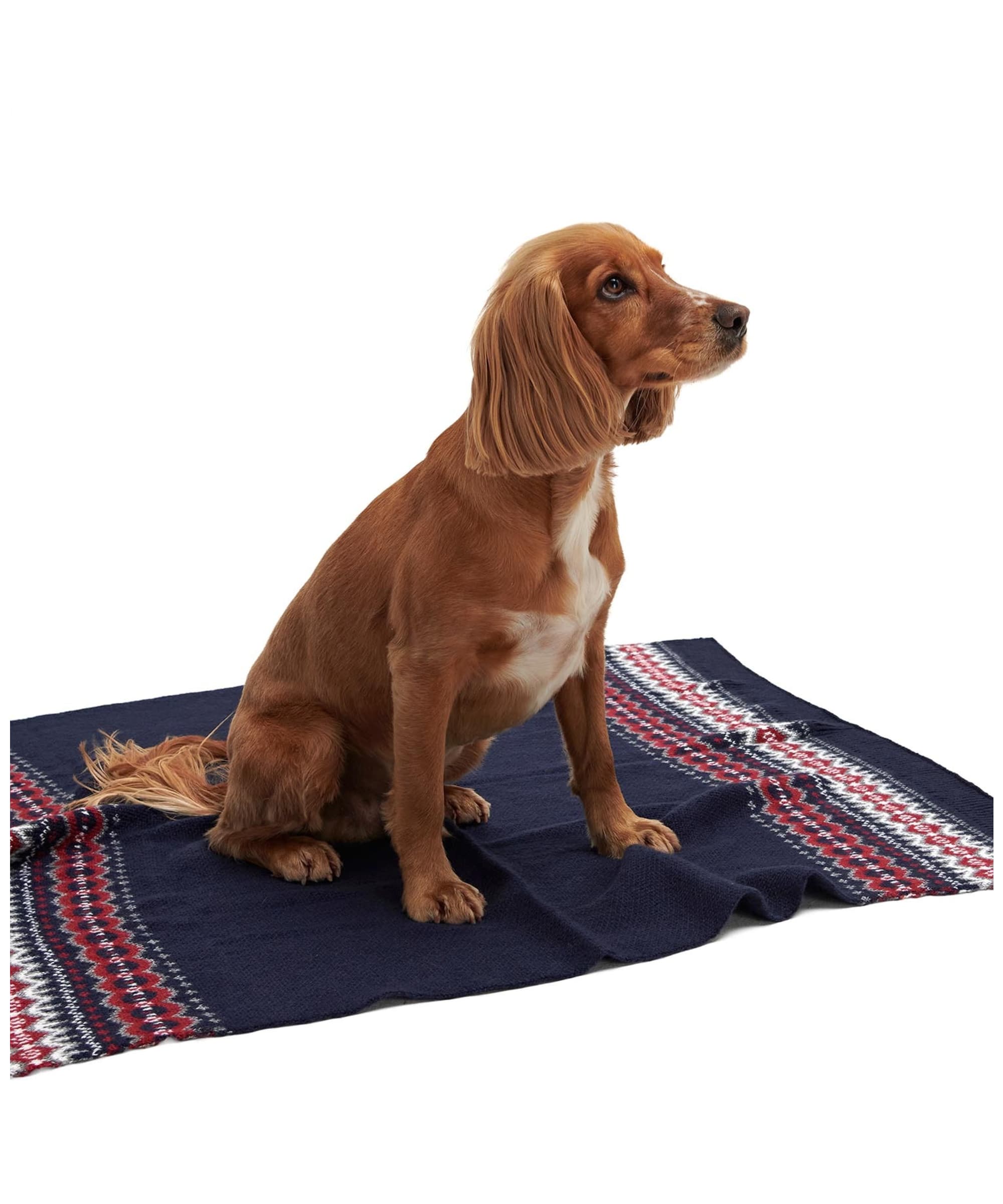 Barbour Case Fair Isle Dog Blanket