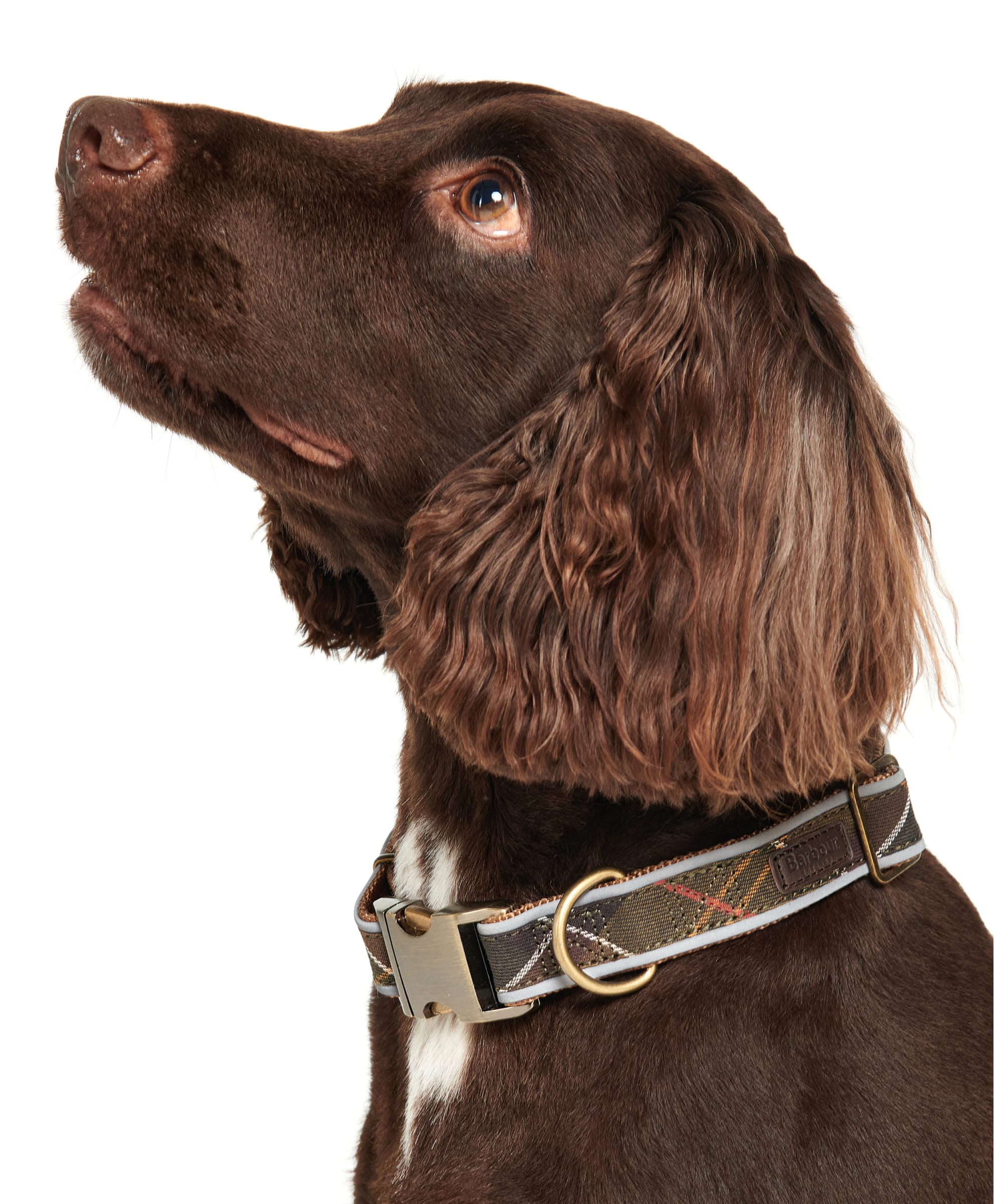 Barbour Reflective Tartan Dog Collar