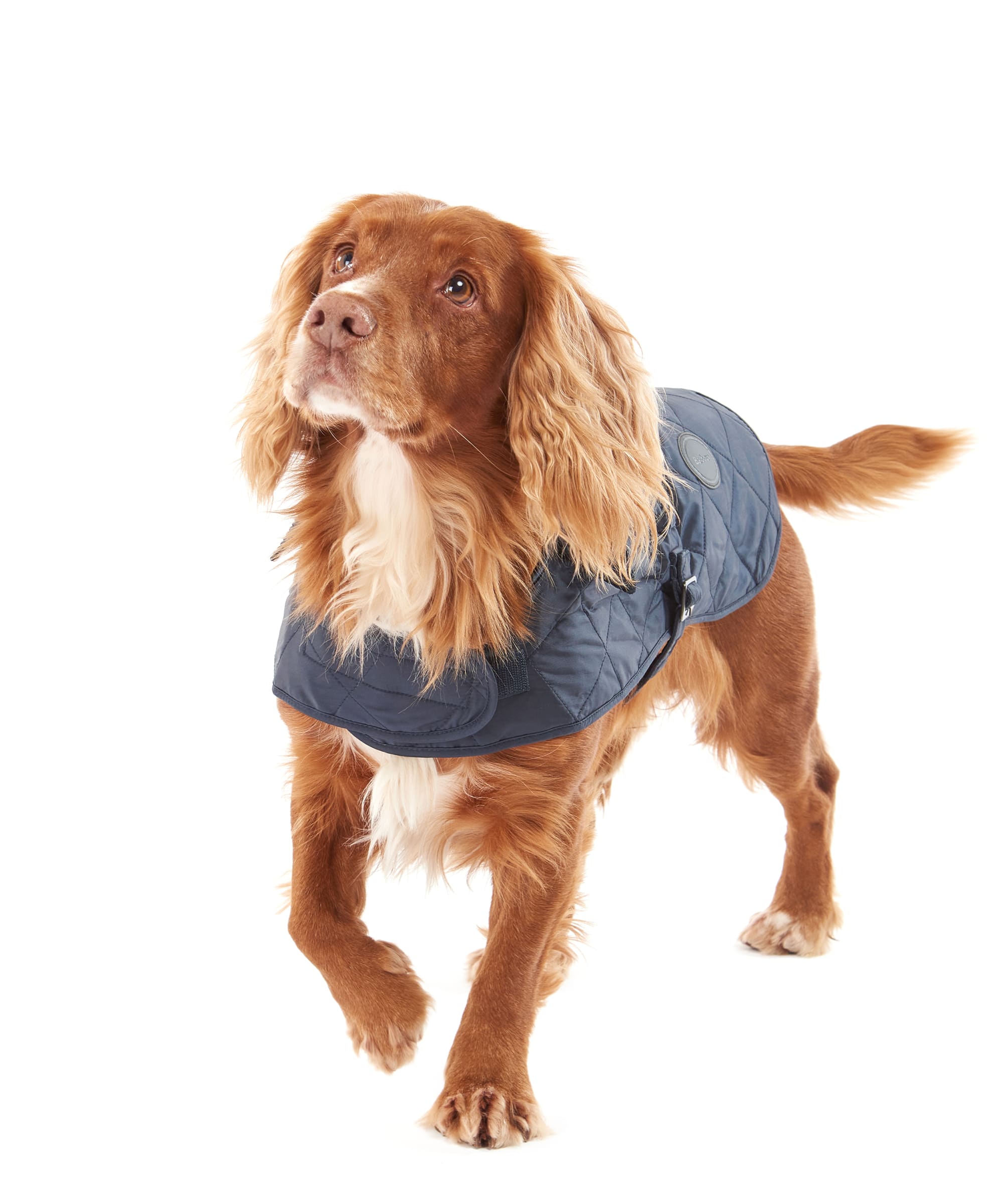 Barbour Quilted Dog Coat