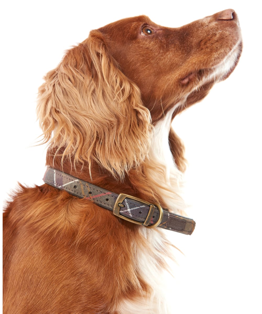 Barbour dog collar small discount