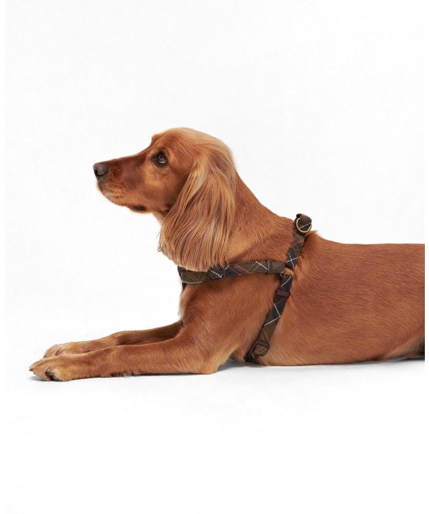 Barbour Tartan 5 Way Adjustable Dog Harness - Classic Tartan