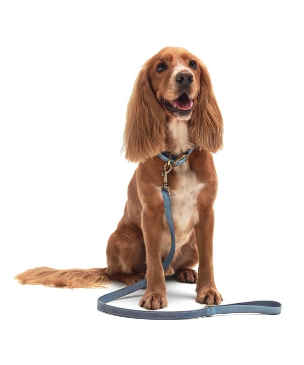 Barbour Leather Dog Lead - New Blue