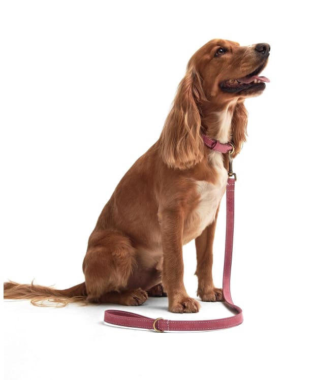 Barbour Leather Dog Lead - Pink