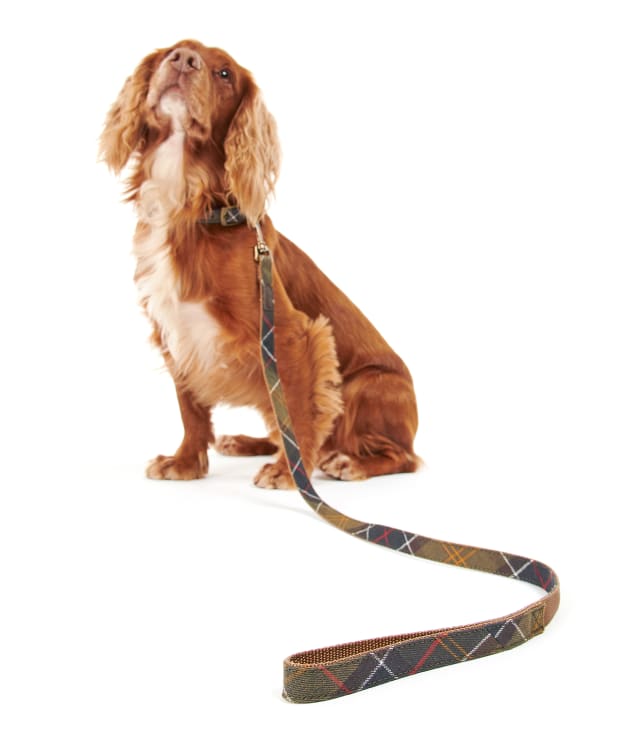 Barbour Tartan Webbing Dog Lead - Barbour Classic