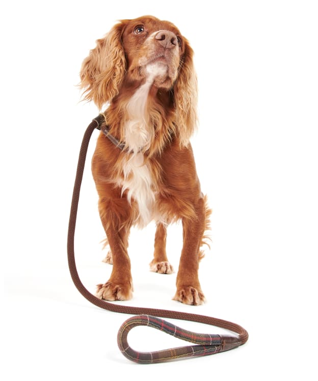 Barbour Tartan Trimmed Slip Dog Lead - Barbour Classic
