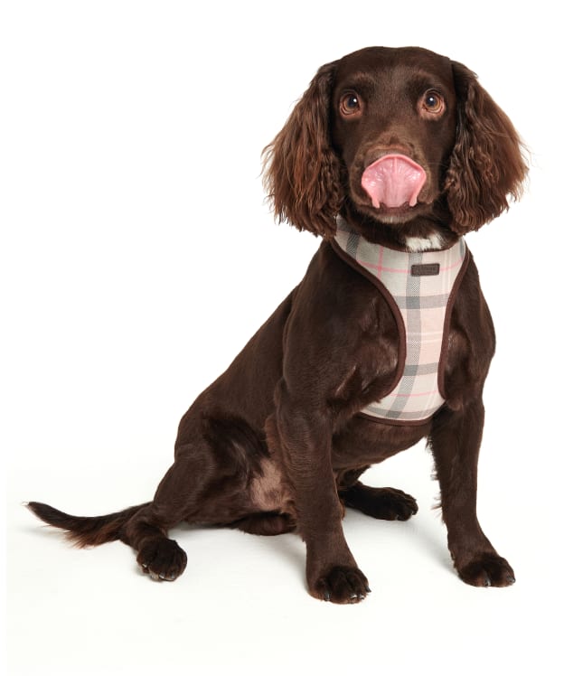 Barbour Tartan Dog Harness - Taupe / Pink Tartan