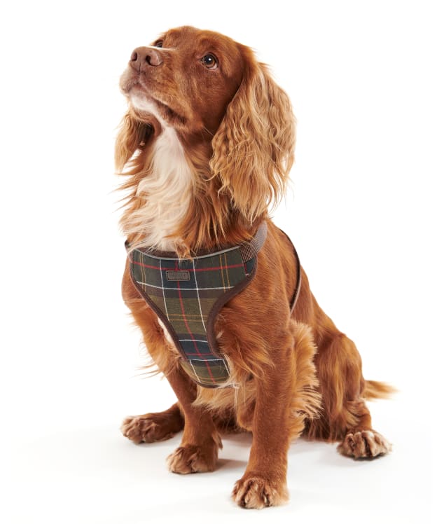 Barbour Travel and Exercise Dog Harness - Classic Tartan