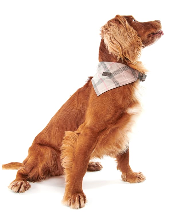 Barbour Tartan Dog Bandana - Taupe / Pink Tartan