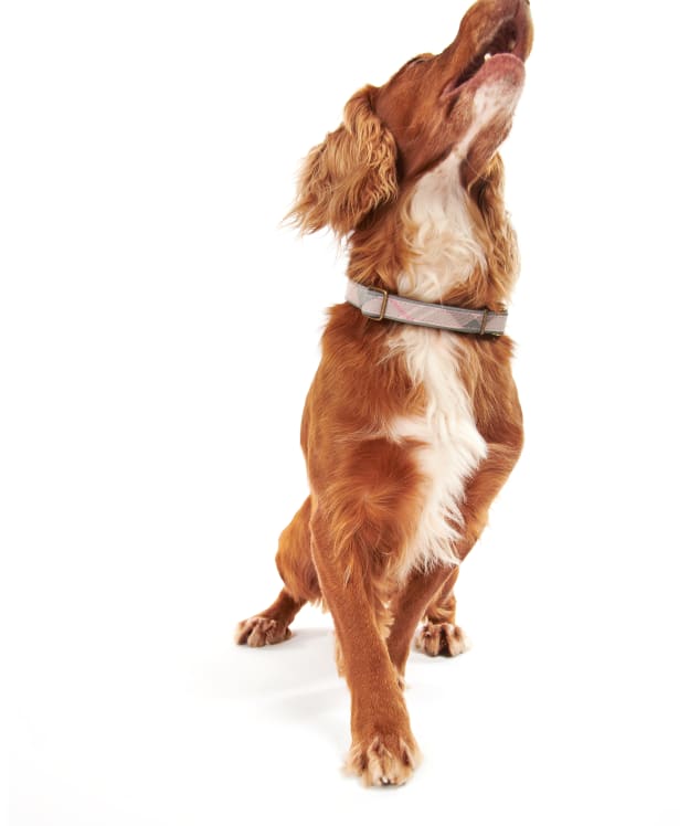 Barbour Reflective Tartan Dog Collar - Taupe / Pink Tartan
