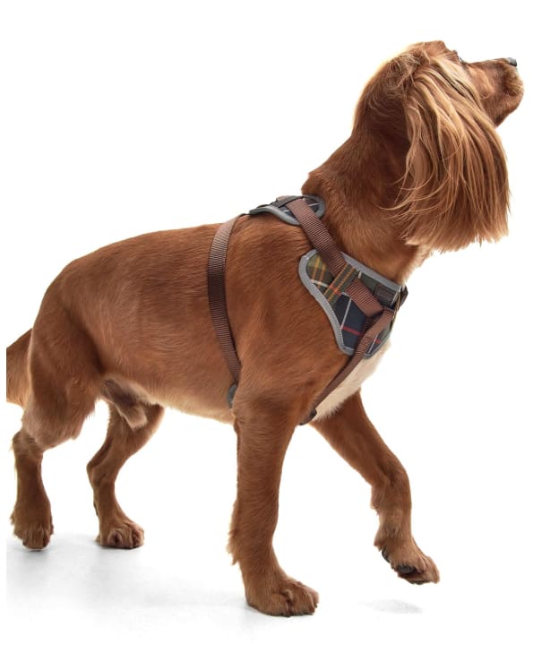Barbour Fully Adjustable Padded Dog Harness - Classic Tartan