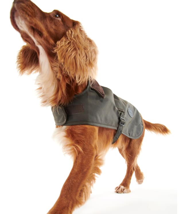 Barbour Waxed Cotton Dog Coat - Olive