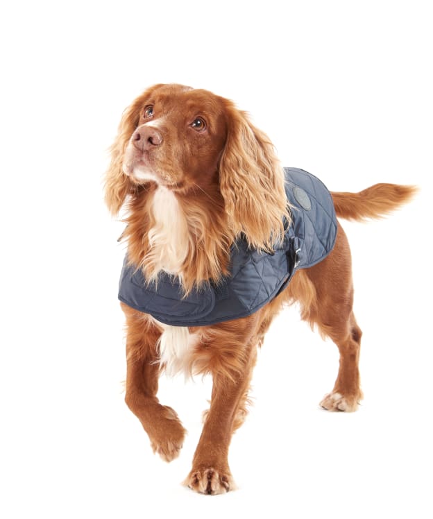 Barbour Quilted Dog Coat - Navy