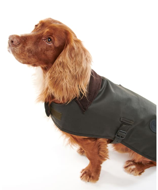 Barbour Wax Dog Coat - Olive