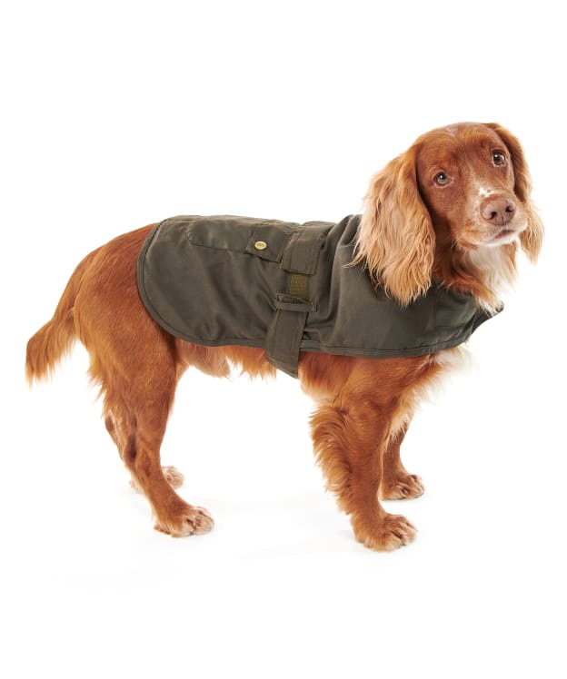 Barbour 2 in 1 Wax Dog Coat - Olive