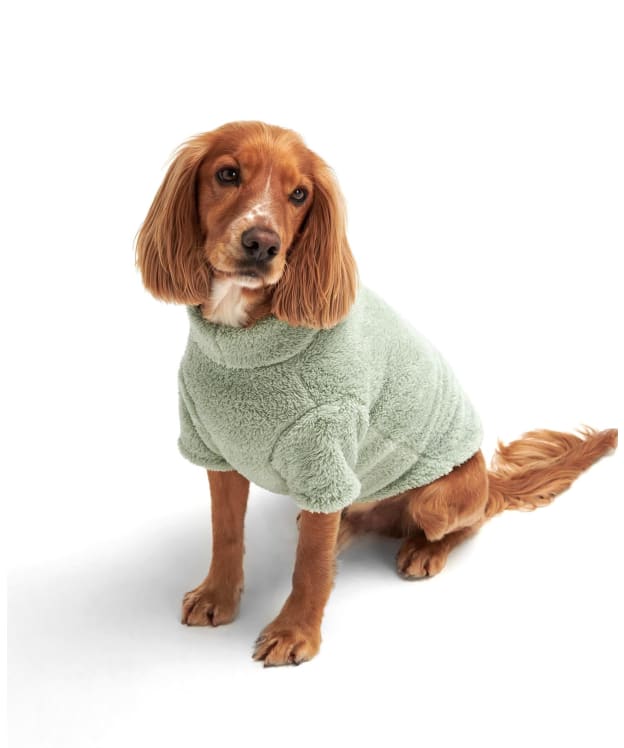 Barbour Teddy Fleece Dog Jumper - Soft Mint