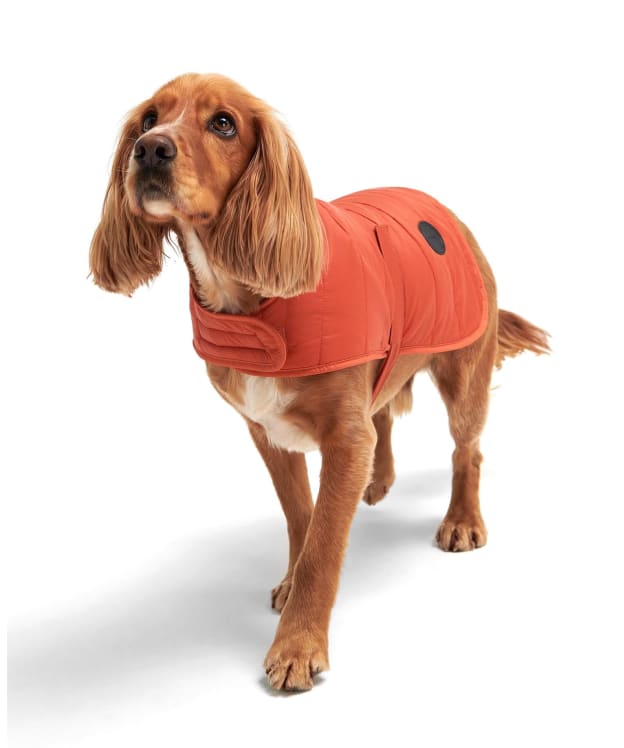 Barbour Baffle Quilted Dog Coat - Ginger