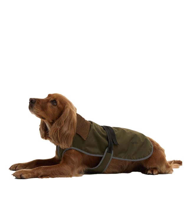 Barbour Monmouth Waterproof Dog Coat - New Olive