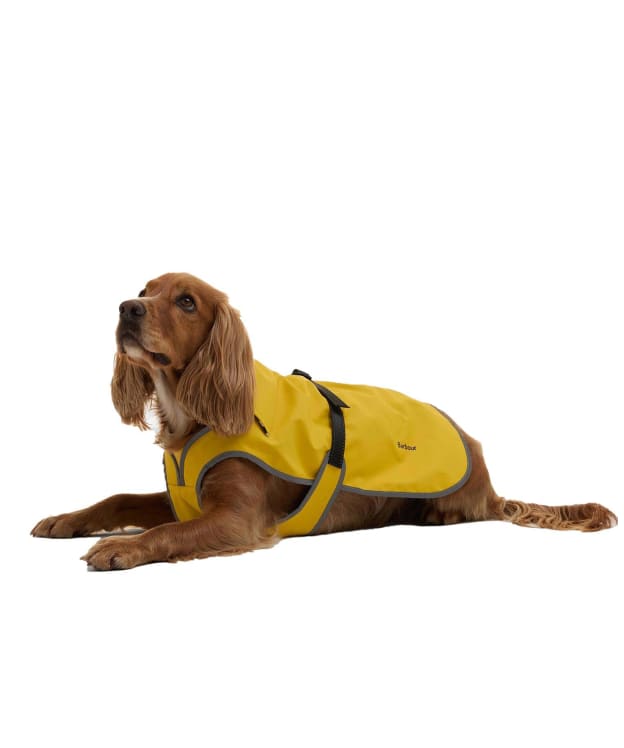 Barbour Evie Waterproof Dog Coat - Limeade