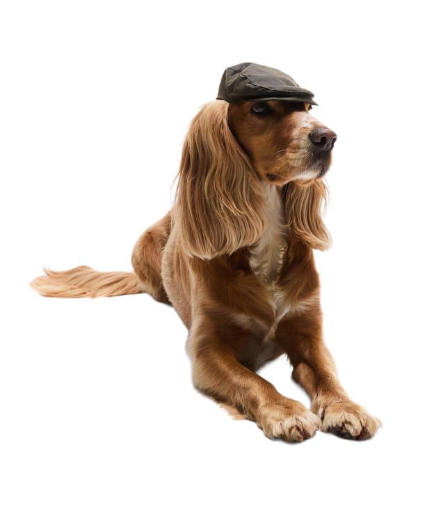 Barbour Dog Wax Flat Cap - Olive