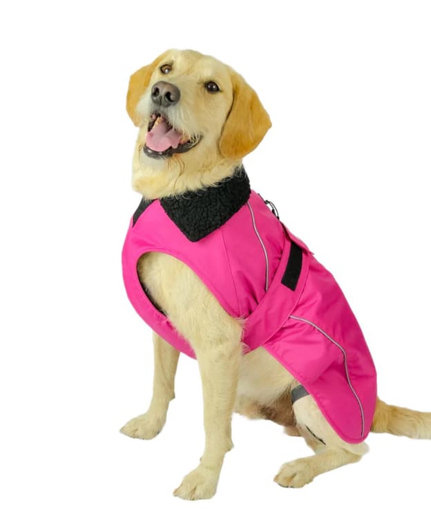 dryrobe® Dog Coat - Pink / Black