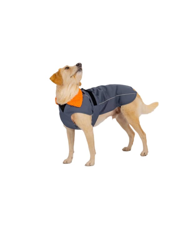 dryrobe® Dog Coat - Dark Grey / Orange