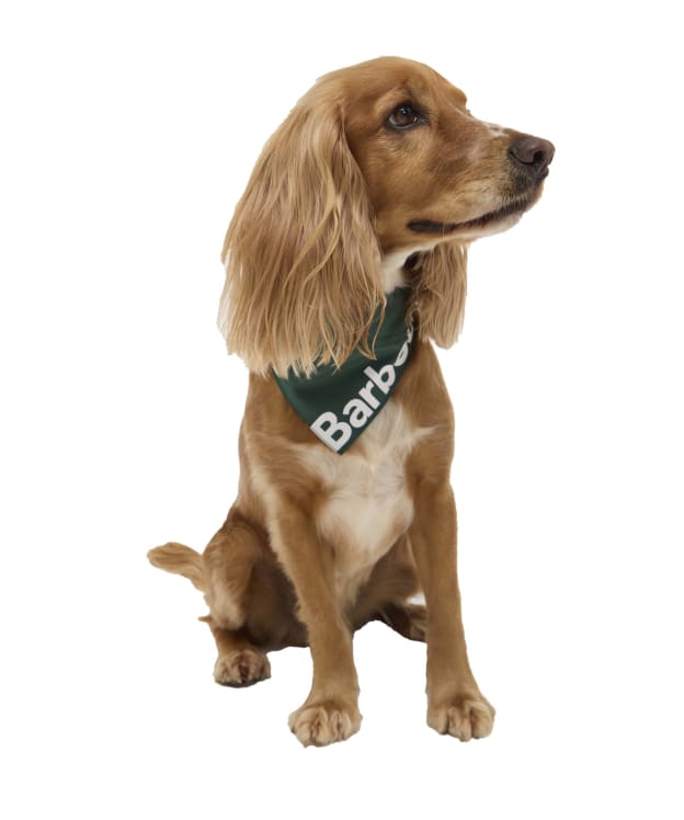 Barbour Logo Dog Bandana - Green