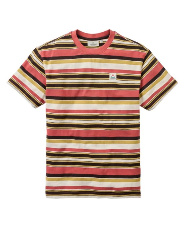 Men's Passenger Clothing Wild Pine Relaxed Fit Stripe T-shirt - Redwood Multi Stripe