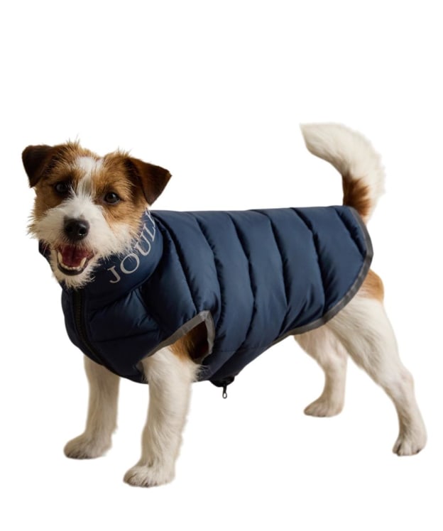Joules Moorsdale Dog Puffer Coat - Large - Navy