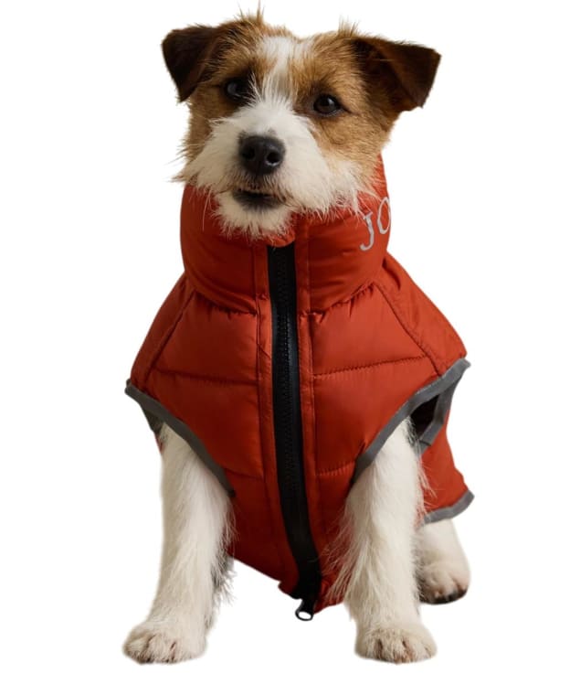 Joules Moorsdale Dog Puffer Coat - Large - Ketchup