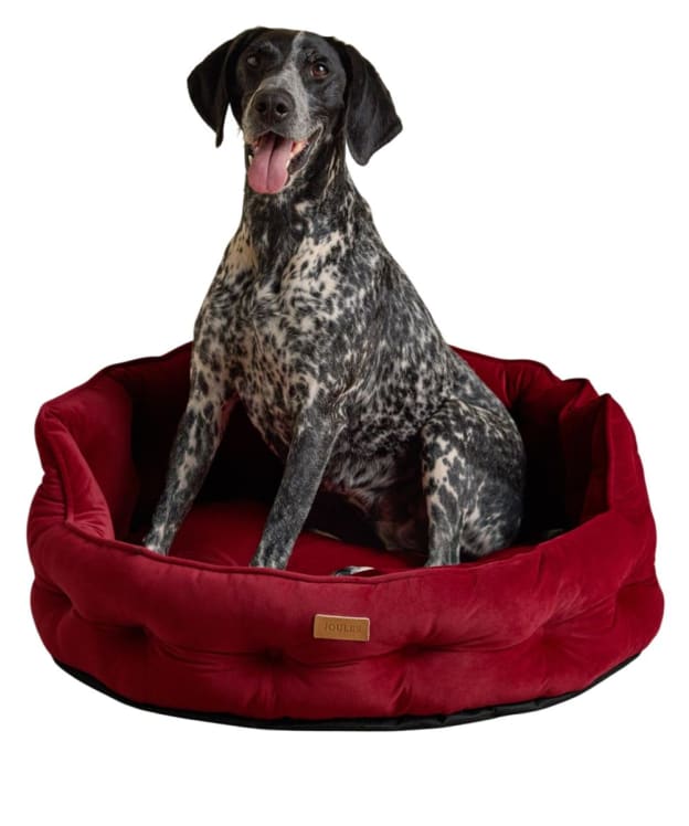 Joules Chesterfield Dog Bed - Small - Burgundy