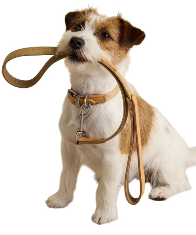 Joules Dog Lead - Tan