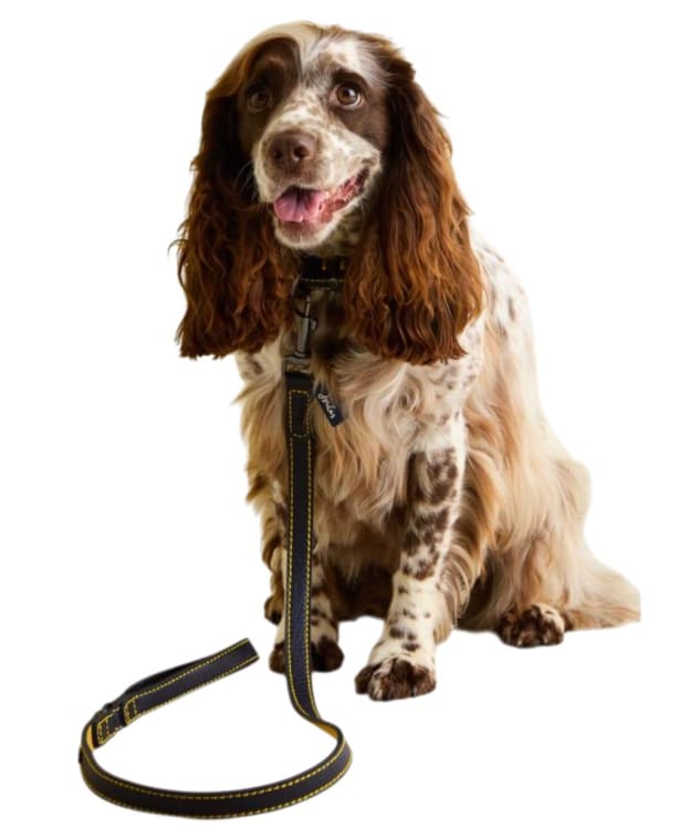 Joules Leather Dog Lead - Navy