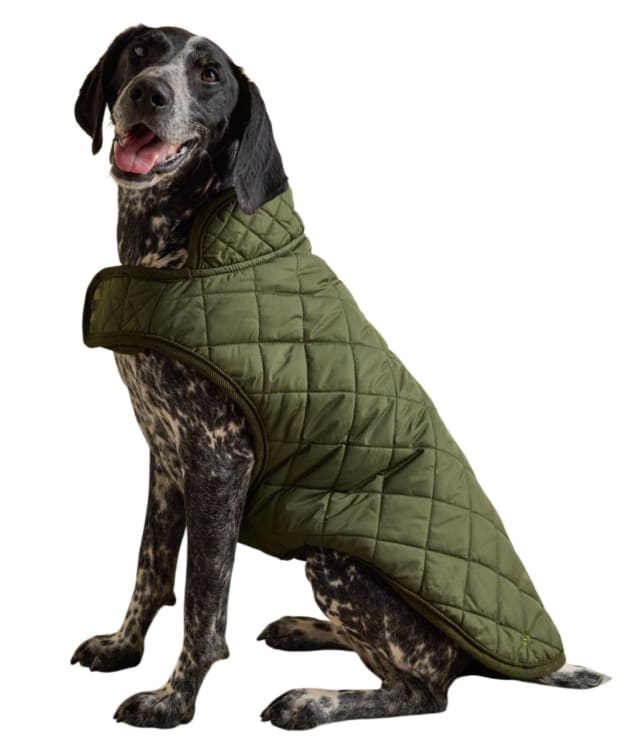 Joules Quilted Dog Coat - Medium - Khaki