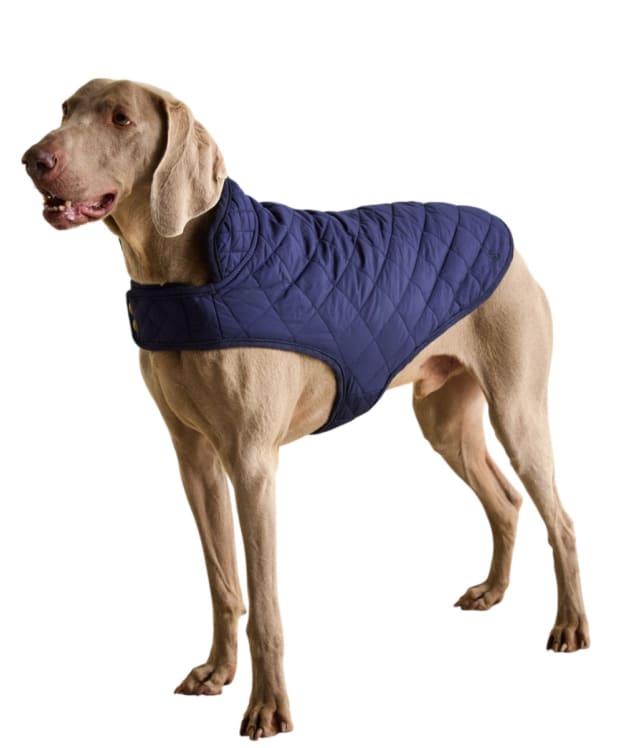 Joules Quilted Dog Coat - Large - Navy