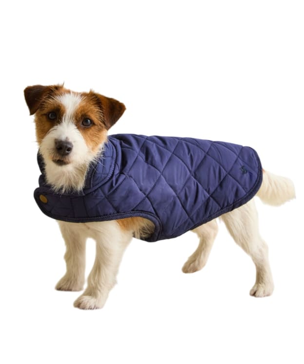 Joules Quilted Dog Coat - Small - Navy