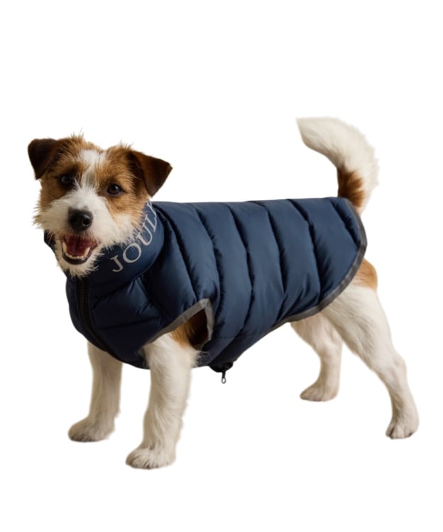 Joules Moorsdale Dog Puffer Coat - Large - Navy