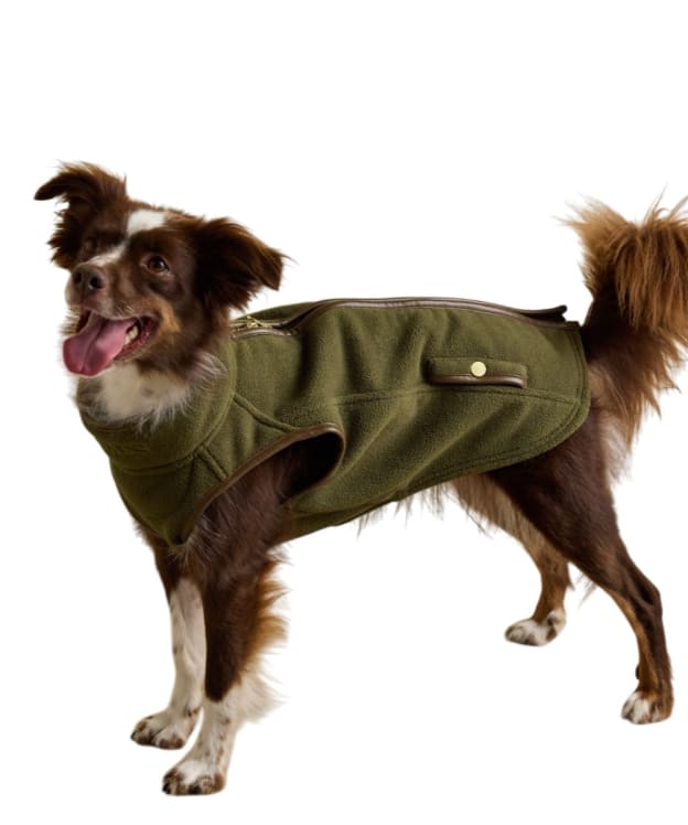 Joules Fairbourne Dog Fleece - Large - Khaki