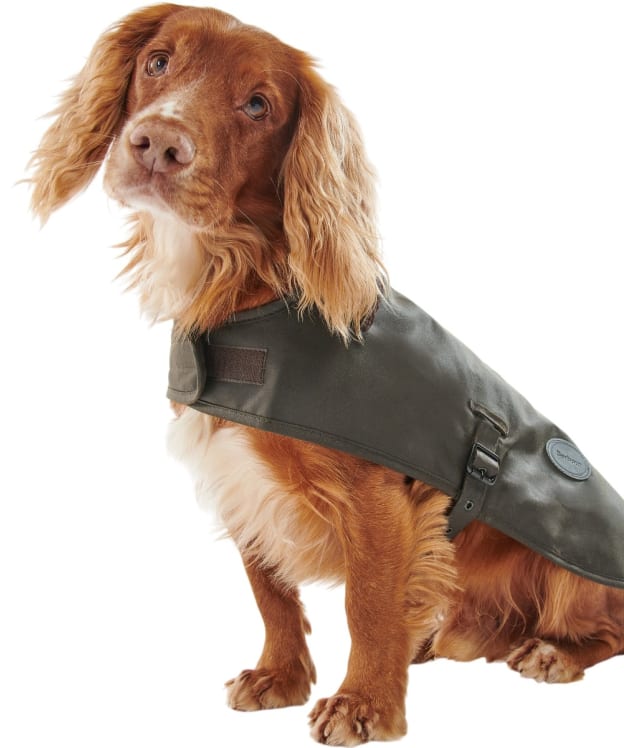 Barbour Waxed Cotton Dog Coat - Olive