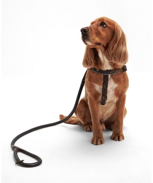 Barbour Leather Snap Dog Lead - Dark Brown