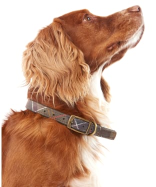 Barbour Tartan Dog Collar - Classic Tartan
