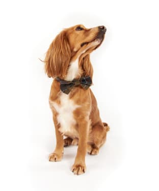 Barbour Tartan Dog Bow Tie - Classic Tartan