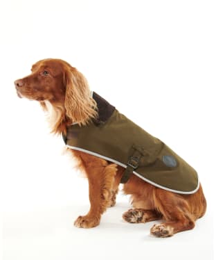Barbour Waterproof Dog Coat - Olive