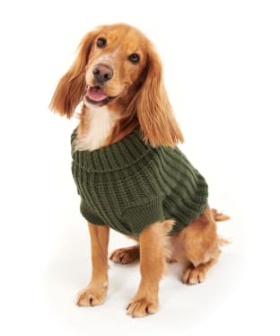 Barbour Saltburn Dog Jumper - Olive