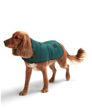 Barbour Baffle Quilted Dog Coat - Evergreen
