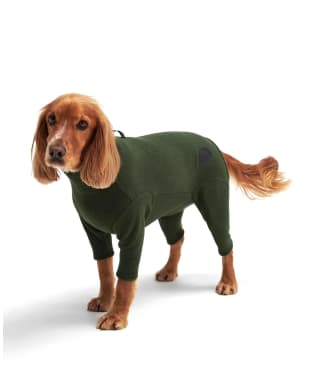 Barbour All In One Dog Fleece - Green