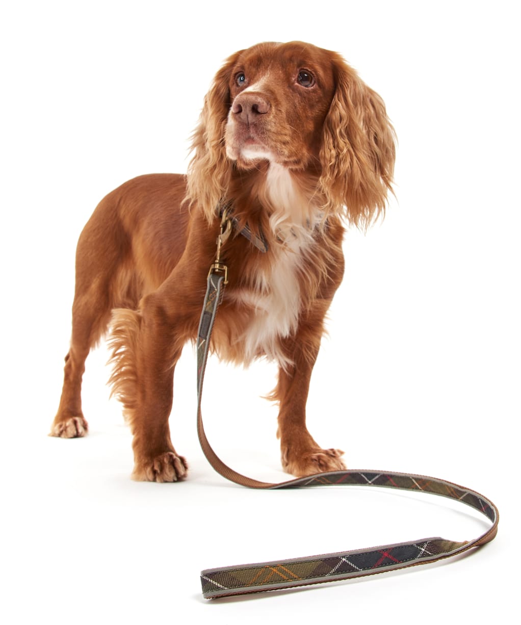 Barbour Reflective Tartan Dog Lead - Classic Tartan