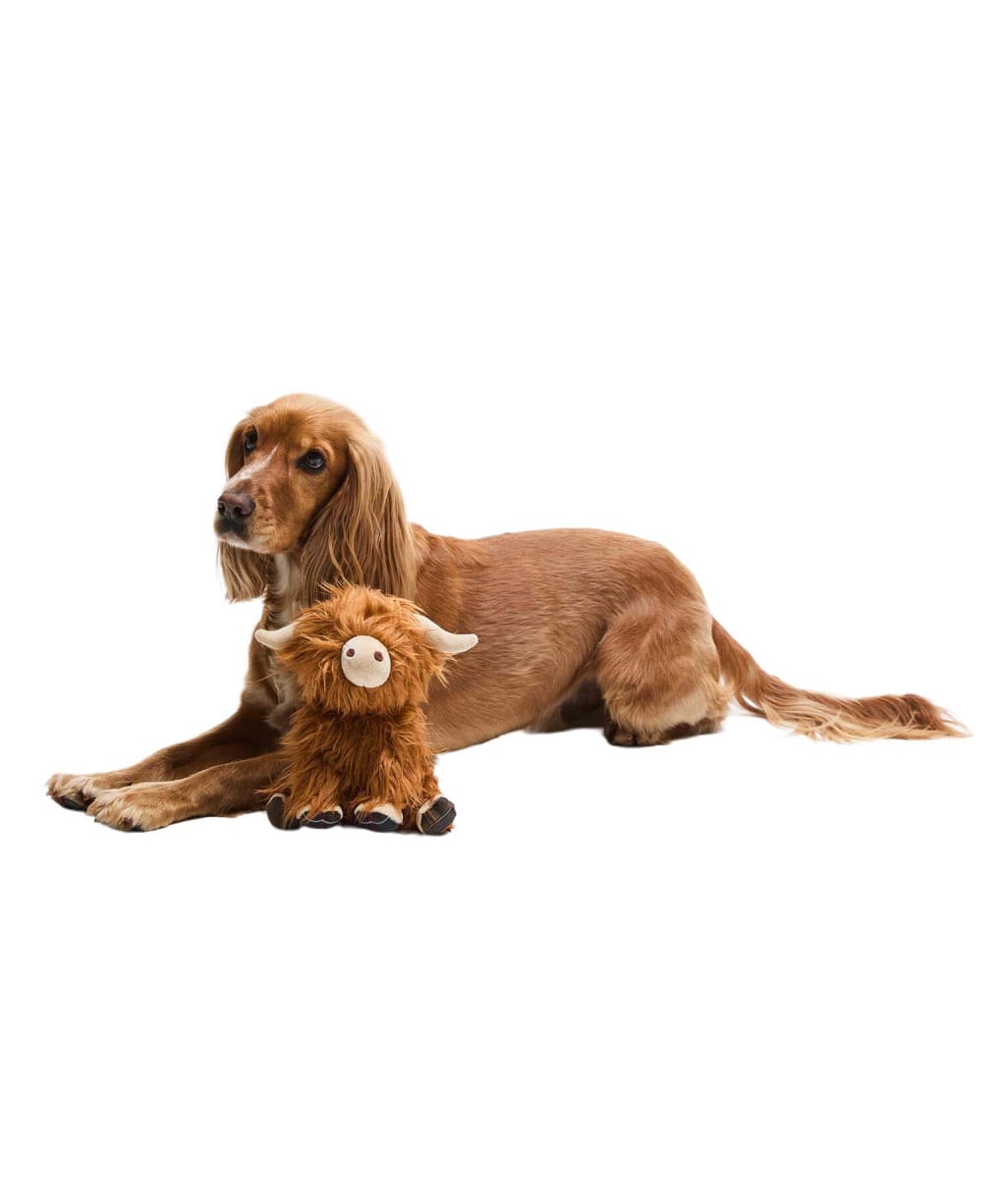 Barbour Dog Highland Cow Toy - Brown / Classic