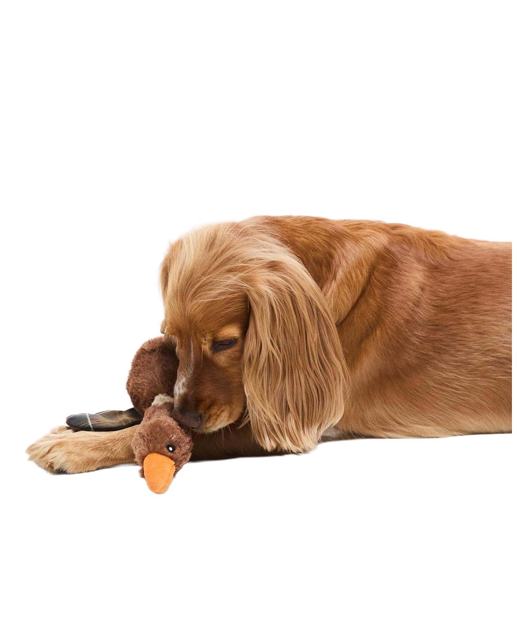 Barbour Dog Flying Duck Toy - Brown
