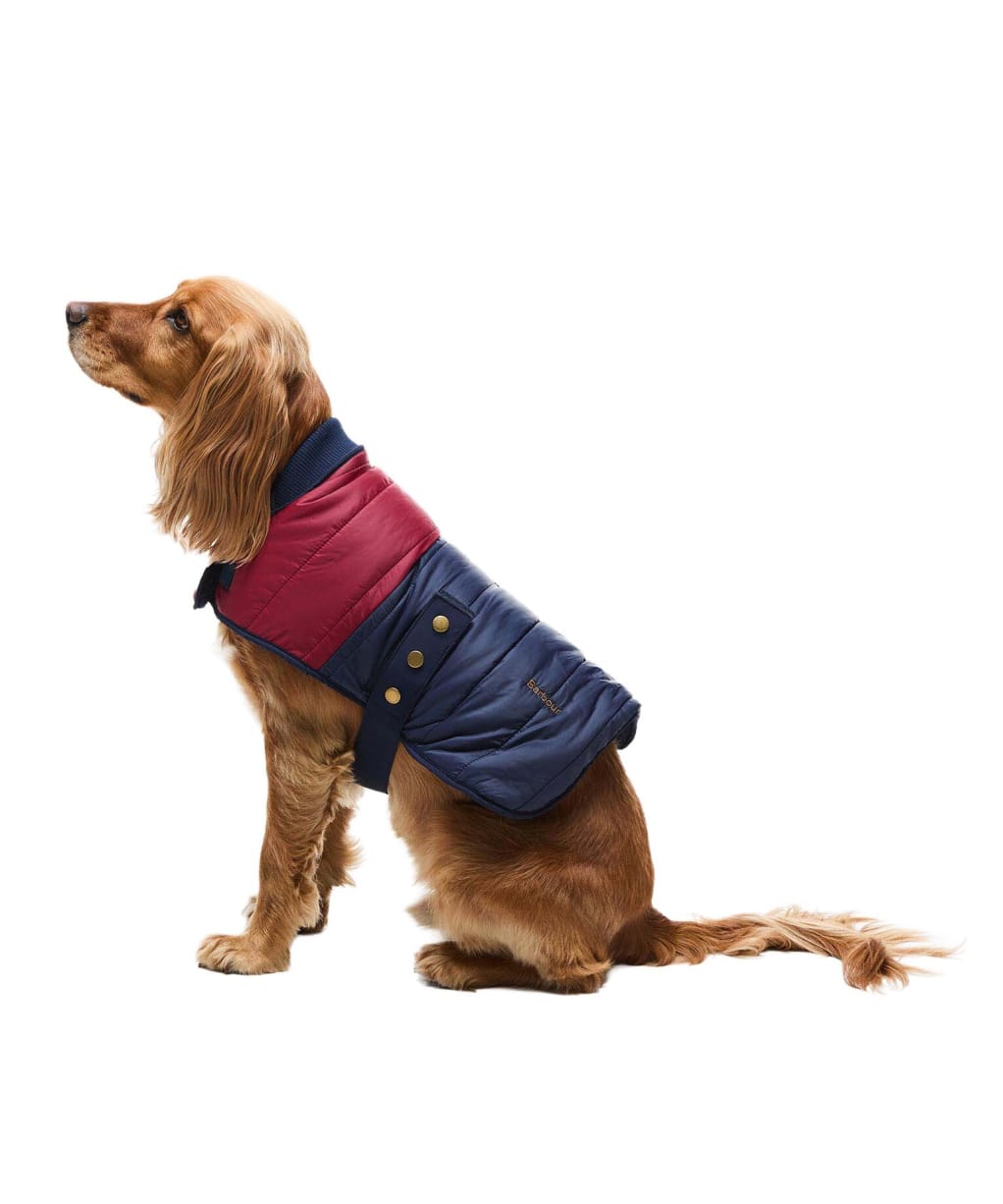 Barbour Brampton Quilted Dog Coat - Red / Navy