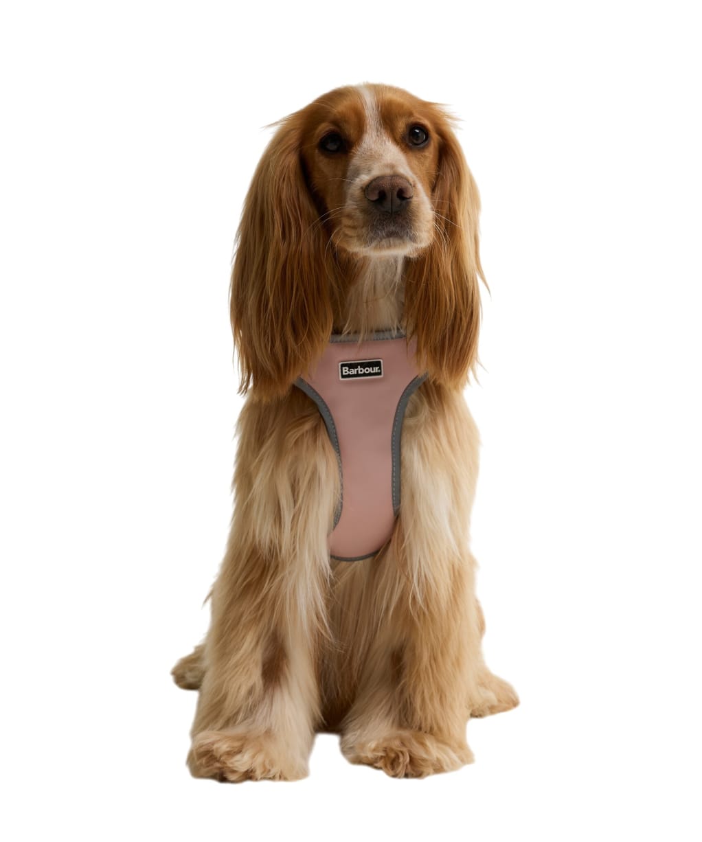 Barbour Evie Dog Harness - Gardenia Pink